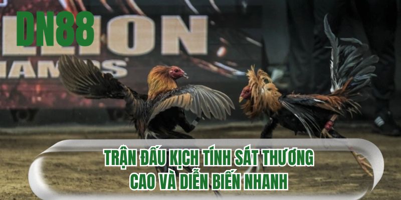Trận đấu kịch tính sát thương cao và diễn biến nhanh